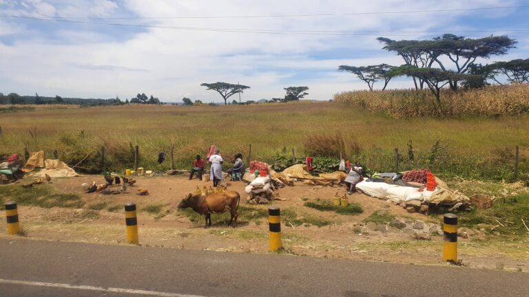 Fantastic Place Travel Kenia - straatbeeld
