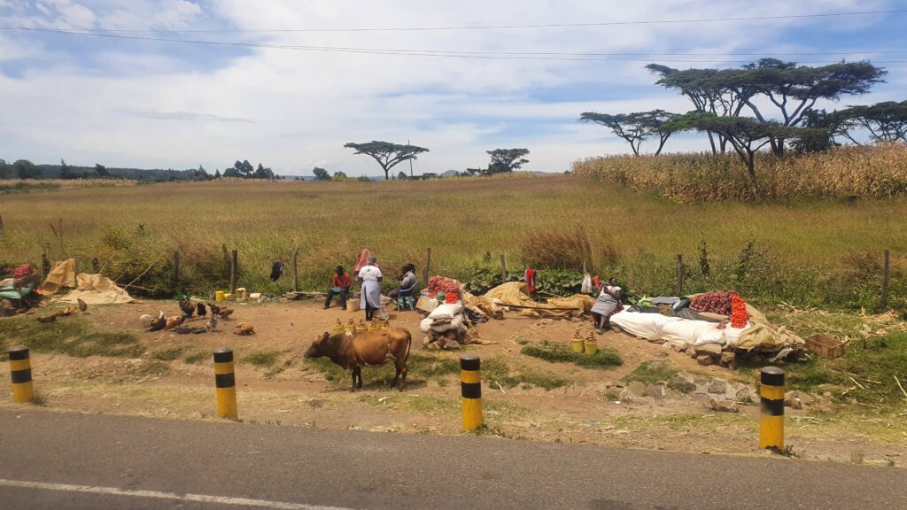 Kenia langs de doorgaande weg